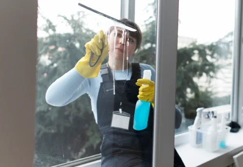 Nettoyage de vitres intérieures et extérieures à Pino